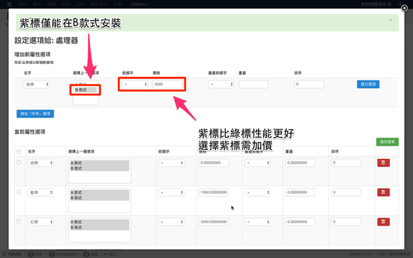 設定選擇 B 款是才會出現的「紫標」選擇項。